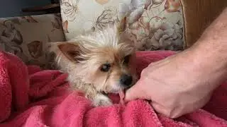 Lazy Roxy 2021 1 28