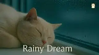 Rain Dream - 🌙 Deep Sleep with a Sleeping Cat