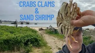 Taft, Oregon: A Shellfish Lover's Paradise