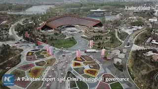 China's green technologies benefit Pakistan: Pakistani expert