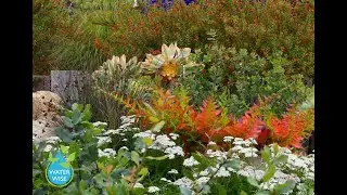 What Gardeners Need to Know about Landscape Water Conservation with Sarah Smith