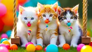 ANAK KUCING MEONG MEONG - SI MEONG KUCING LUCU ❤️ Lagu Anak Indonesia Viral