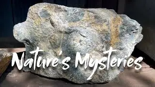 Nature's Mysteries