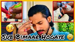 My All Birds Are Sick | Hum Or Parinday |