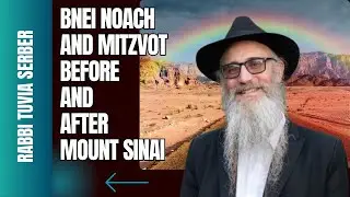 Bnei Noach and Mitzvot
