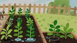 Why Do Plants Need Water? | Easy Science for Kids