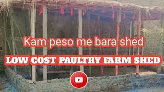Low cost paultry farm shed design!! low cost poultry shed construction!!Kam peso me shed kaise banae