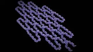 DNA Origami: Single Strand