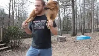 Things To Do With Your Dog
