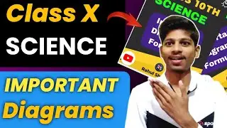 Class 10th Science Important Diagrams in One page | How to score in class 10th Science 2023