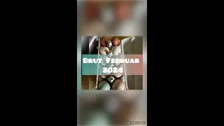 Kunstbrut 2024 mit einigen Überraschungen  ;-) und vielen Auf und Ab´s