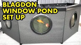 Garden Window Fish Pond