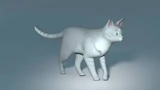 3D Dawn - Walk & Run Cycle