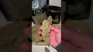 Gelato Auto 🍦 Fast Buds | Hybrid grown  by auqtoflxwer.mt_