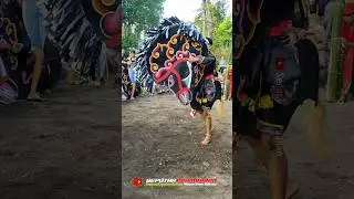 JARANAN PEGON INDONESIA#jarananndadi #jathilanndadi #jarananpegon #jarankepang #kudalumping #jaranan