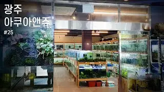 광주 수족관 아쿠아앤쥬 방문기 | Aqua&Zoo | 수족관 탐방 #02