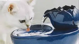 (Z-FMFK-01) Zumzum Healthy Handmade Ceramic Cat Water Fountain For Your Furry Kids