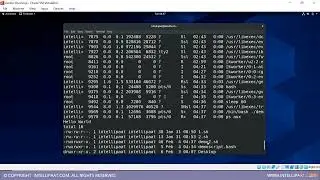 LM4   Lecture 2 – Working With A Shell Script | #linuxadministration #course #begginners