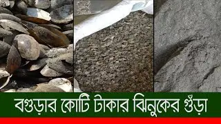 বগুড়ার কোটি টাকার ঝিনুকের গুঁড়া | | Oyster Shell Processing | | Bagura