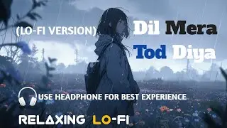 Dil Mera Tod Diya || Relaxing Lo- FI Version || दिल मेरा तोड़ दिया | 90s Lofi Song | Female Version