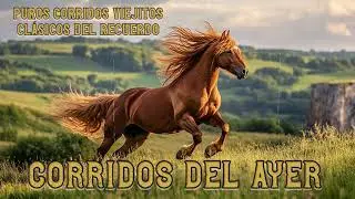 Los Mejores Corridos Viejitos 🎶 Norteño Clásico | Mix del Recuerdo