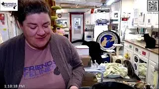 Boxes and Updates 02-03-2026   Friends of Felines Rescue Center (FFRC)