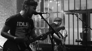 Cat Rodeo    27.02.2020