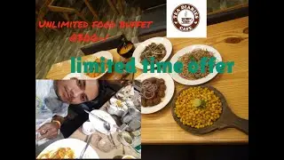 Budget-Friendly Foodie Paradise: Exploring Tea Diaries Cafe in Indore!