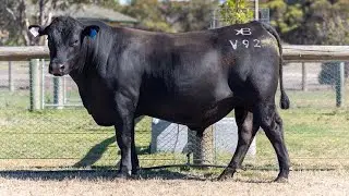LOT 5 WBB24V92 VENTURE