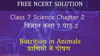 NCERT Class 7 Science Chapter 2 in Hindi: Nutrition in Animals  प्राणियो  में  पोषण