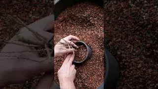 Mixing Good Bonsai Substrate