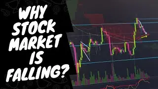 Why is the Stock market falling? | Stock market क्यों गिर रहा है? #stockmarket #stocks #investing