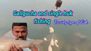 Gallgucha and single huk fishing//Variety type of fish catching#fishing#trending#amazing
