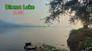 Dimna Lake kafi kachra ho chuka hai Live