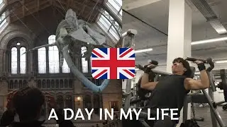 【🇬🇧vlog】ロンドンで家探しから解放された日