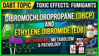 Toxic Effects Fumigants Dibromochloropropane DBCP and Ethylene dibromide DABT Question 20
