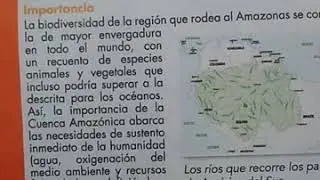 Cuenca del Amazonas