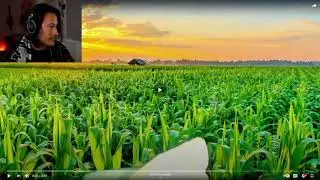 Markiplier watches &ldquo;corn&rdquo; by Charlie Slimecycle | Watching funny videos Livestream