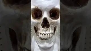 3 Черепной столб ☠️