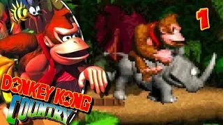 &iexcl;&iexcl;NOSTALGIA SIMIESCA!! - Donkey Kong Country Cap.01