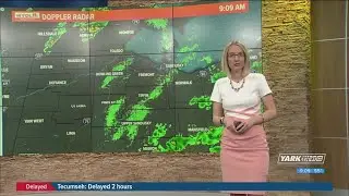 Wednesday brings mild temps, damp conditions | Good Day on WTOL 11
