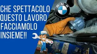 BMW 320D Supporti motore e cambio