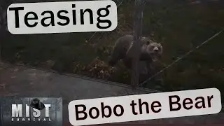 Mist Survival S 3 E 53 - Teasing Bobo the Bear