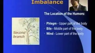 TTM. Traditional Tibetan Medicine 3/6