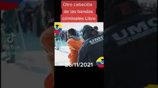 Cabecilla de los Chone killers. Libre