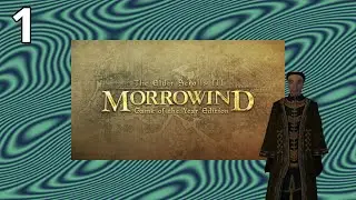 The Elder Scrolls III: Morrowind &mdash; Episode 1 | The Adventures of Wilhelm Batesson: Mages Guild Quest