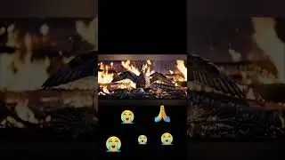 Mother Duck Burned Alive Protecting Her Egg in a Forest Fire #shotrs #duck #shortvideo
