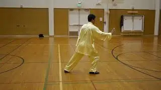 Master Chen Youze Laojia Yilu  (part 1)