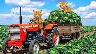 Mama Cat Helped 😺 Kitten Pick Vegetables Trims Fur on the Farm and Makes For Kittens At Home 🏡