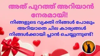 ♦️✨നിങ്ങളുടെ വ്യക്തി രഹസ്യമായി ചില കാര്യങ്ങൾ പ്ലാൻ ചെയ്യുന്നു!